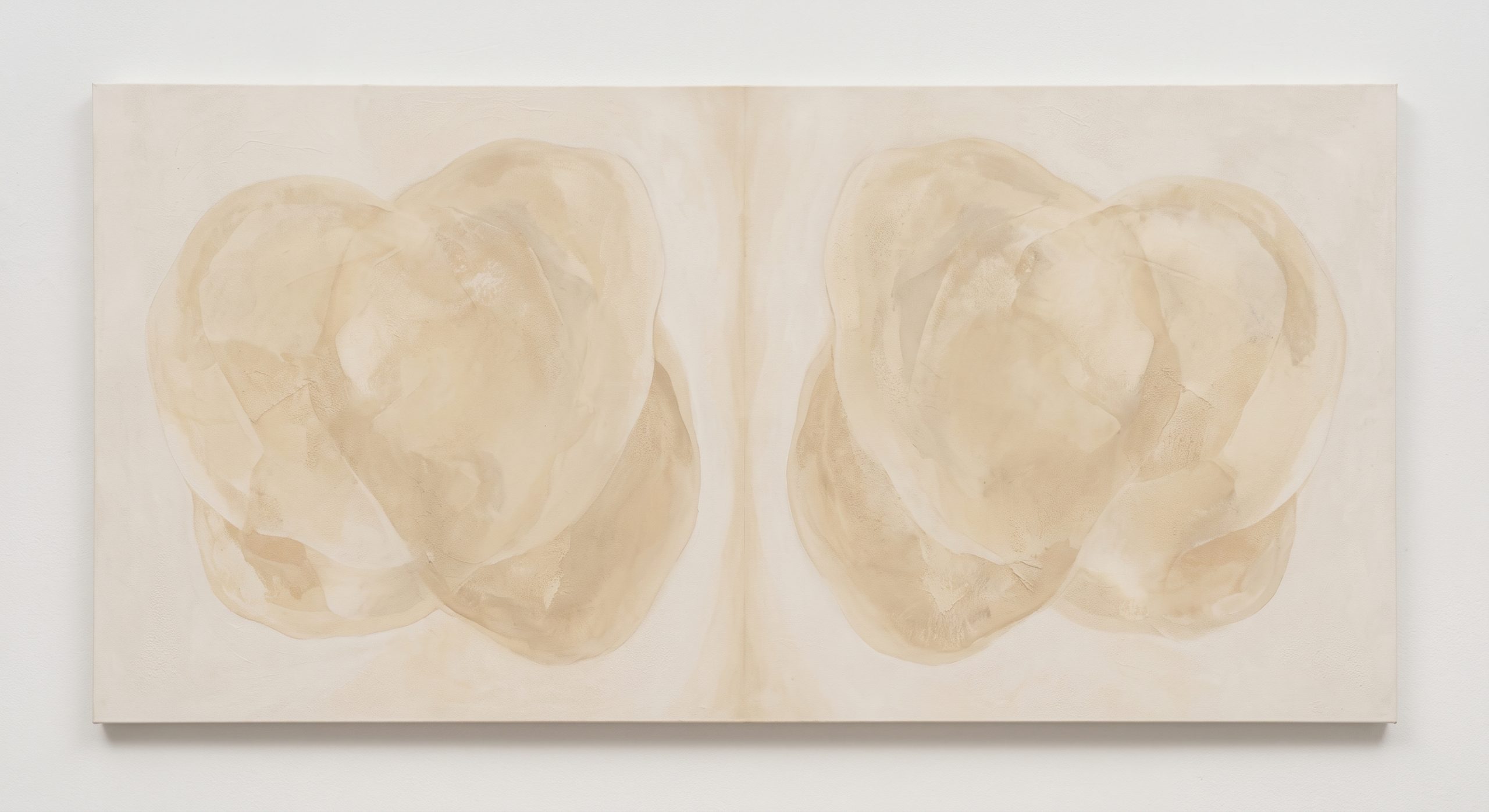 Symmetrical abstract artwork with two matching soft forms either side of a central axis