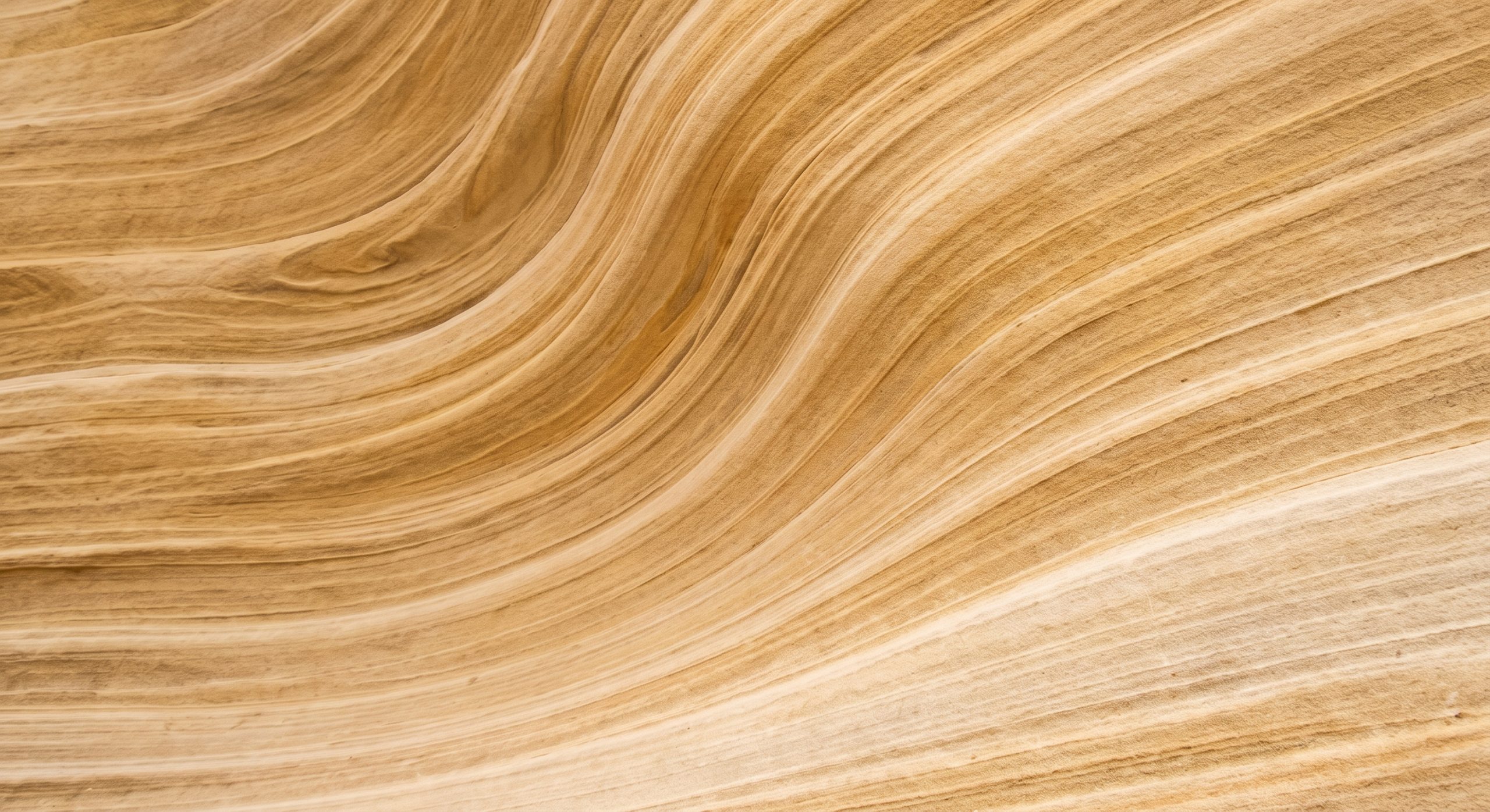 Close-up of layered sandstone strata with smooth curved erosion lines in warm golden and cream tones